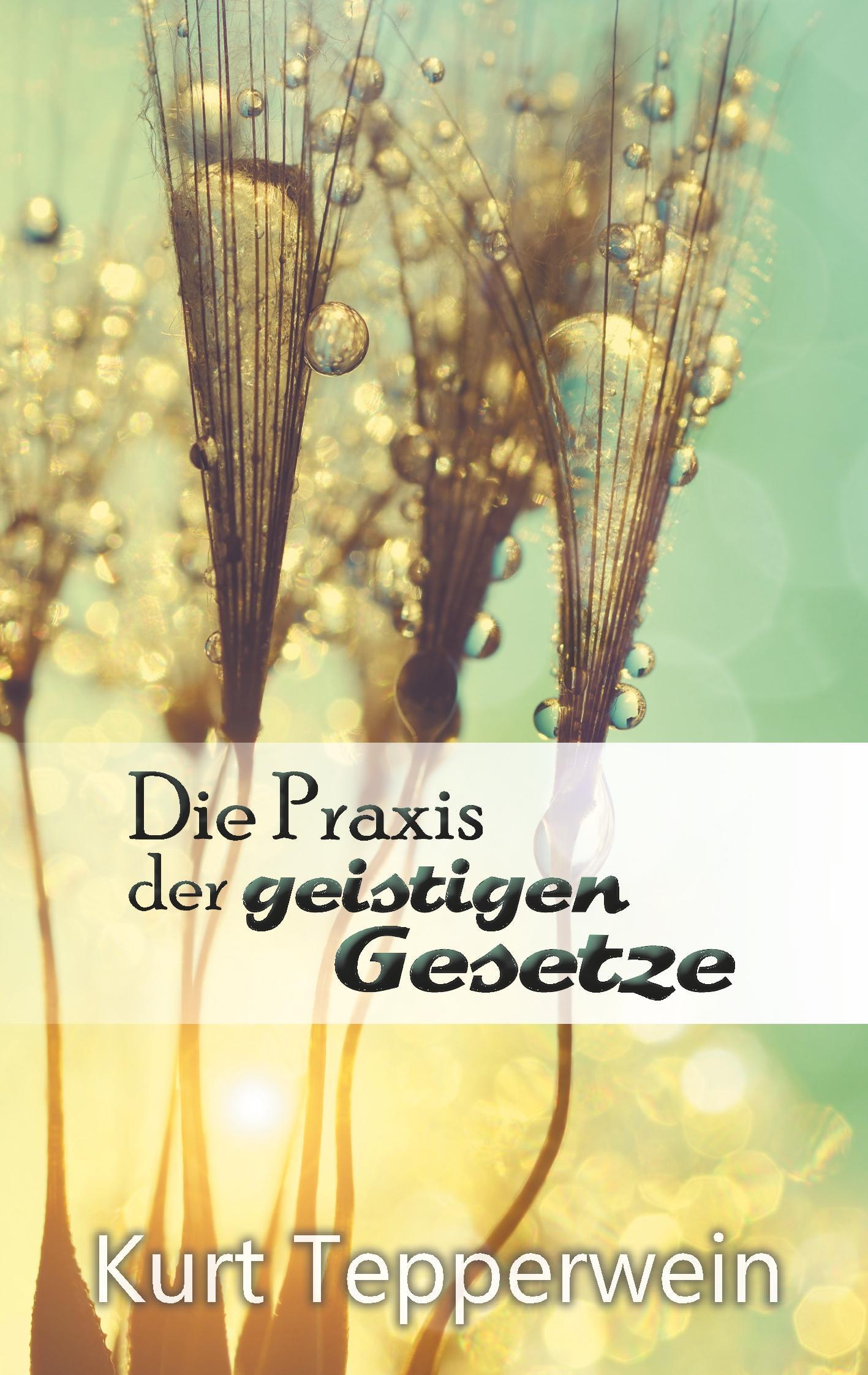 Vorderes Coverbild Die Praxis der geistigen Gesetze