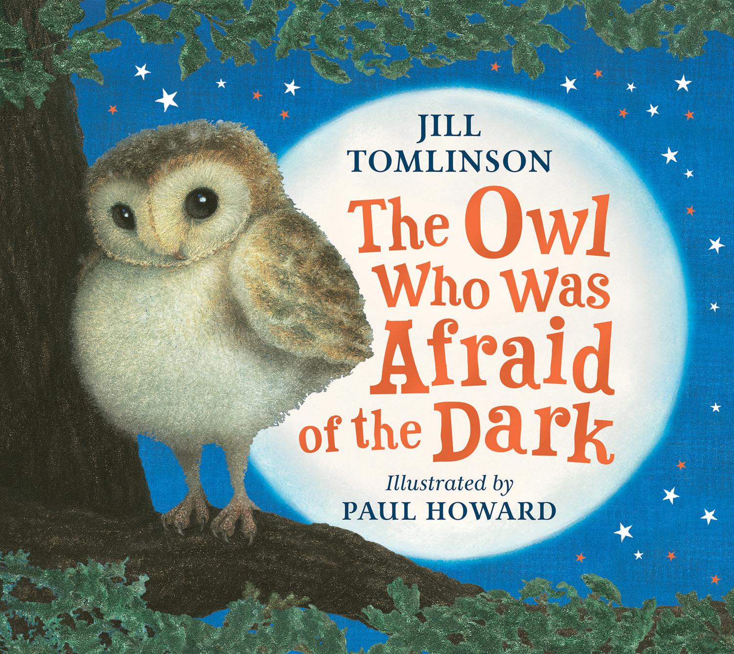 Vorderes Coverbild The Owl Who Was Afraid of the Dark
