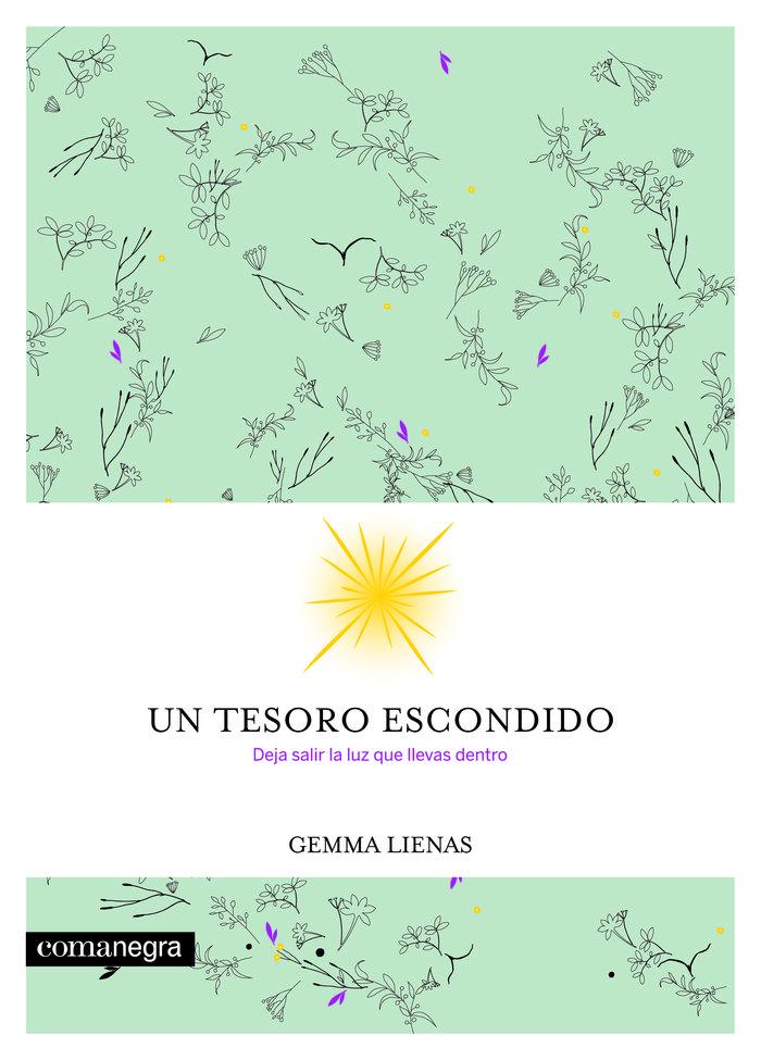 Vorderes Coverbild Un tesoro escondido