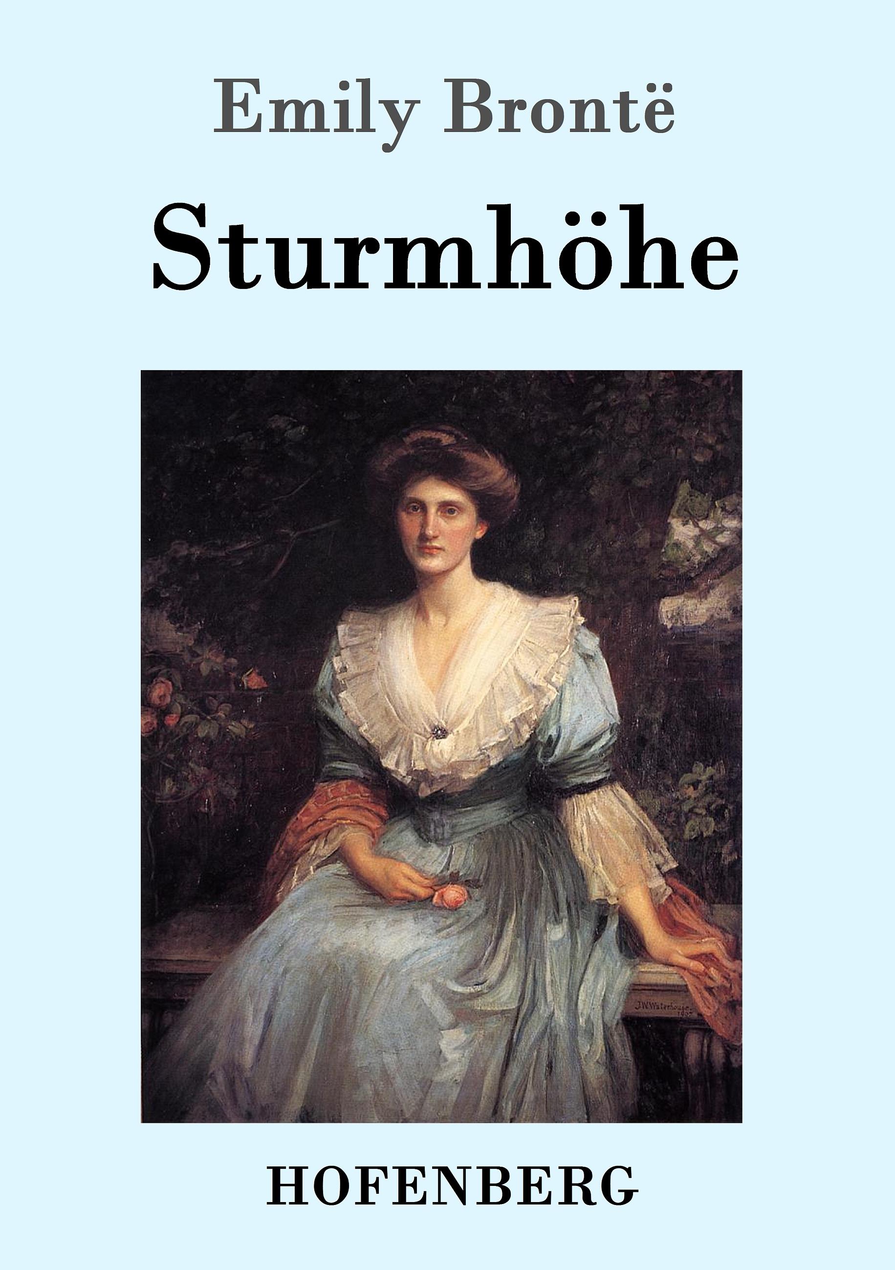 Vorderes Coverbild Sturmhöhe