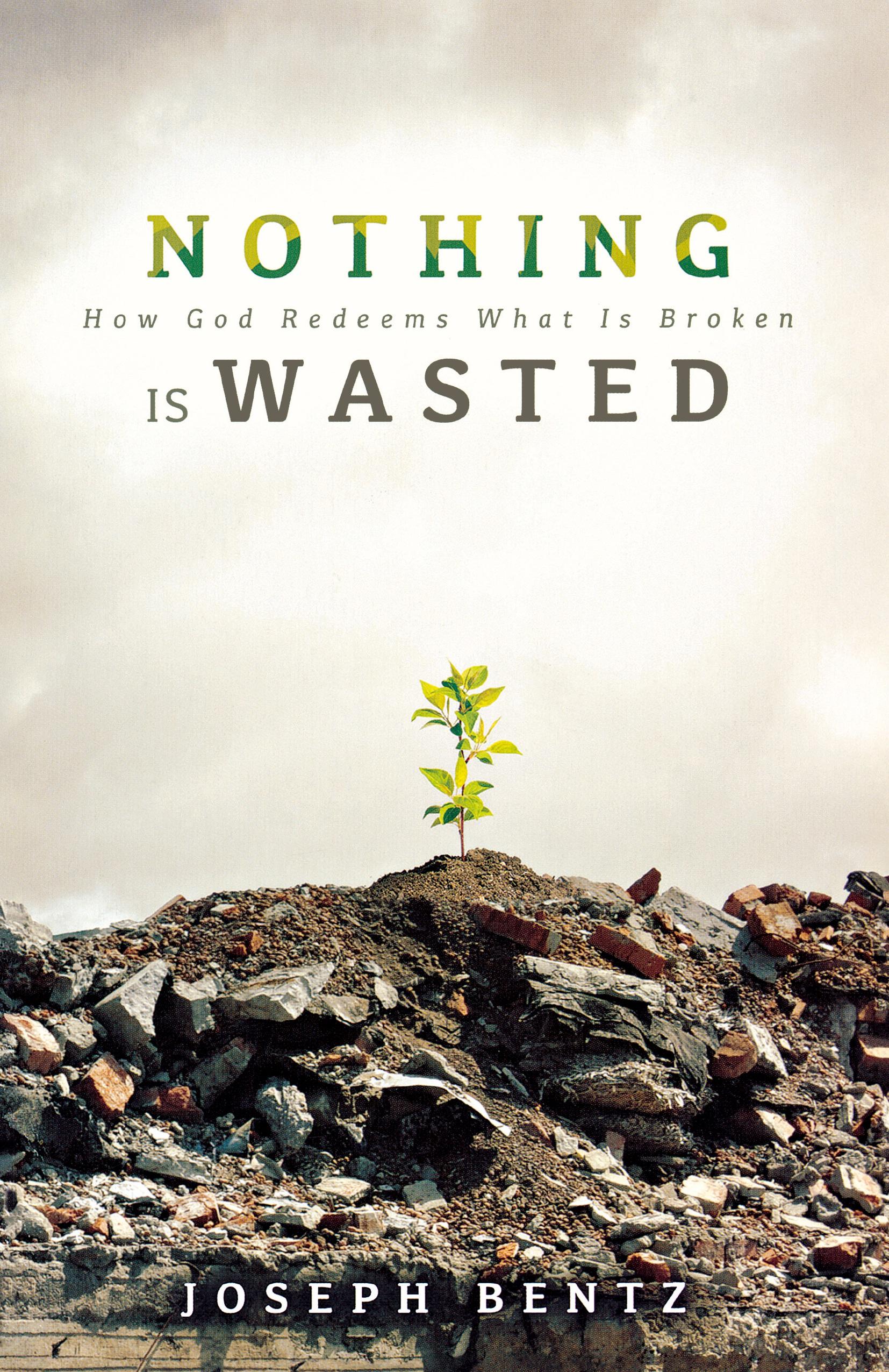 Vorderes Coverbild Nothing Is Wasted