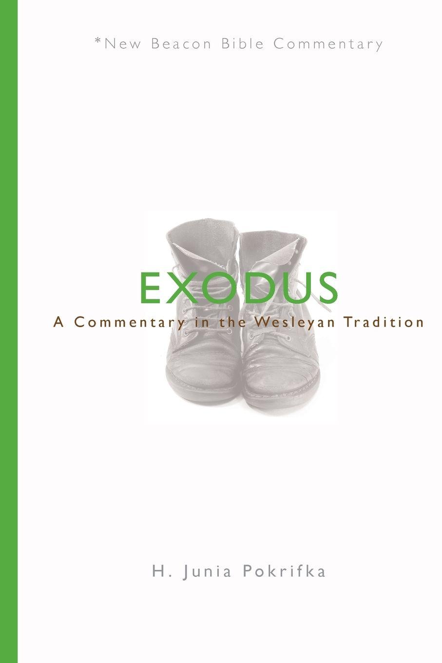 Vorderes Coverbild Nbbc, Exodus