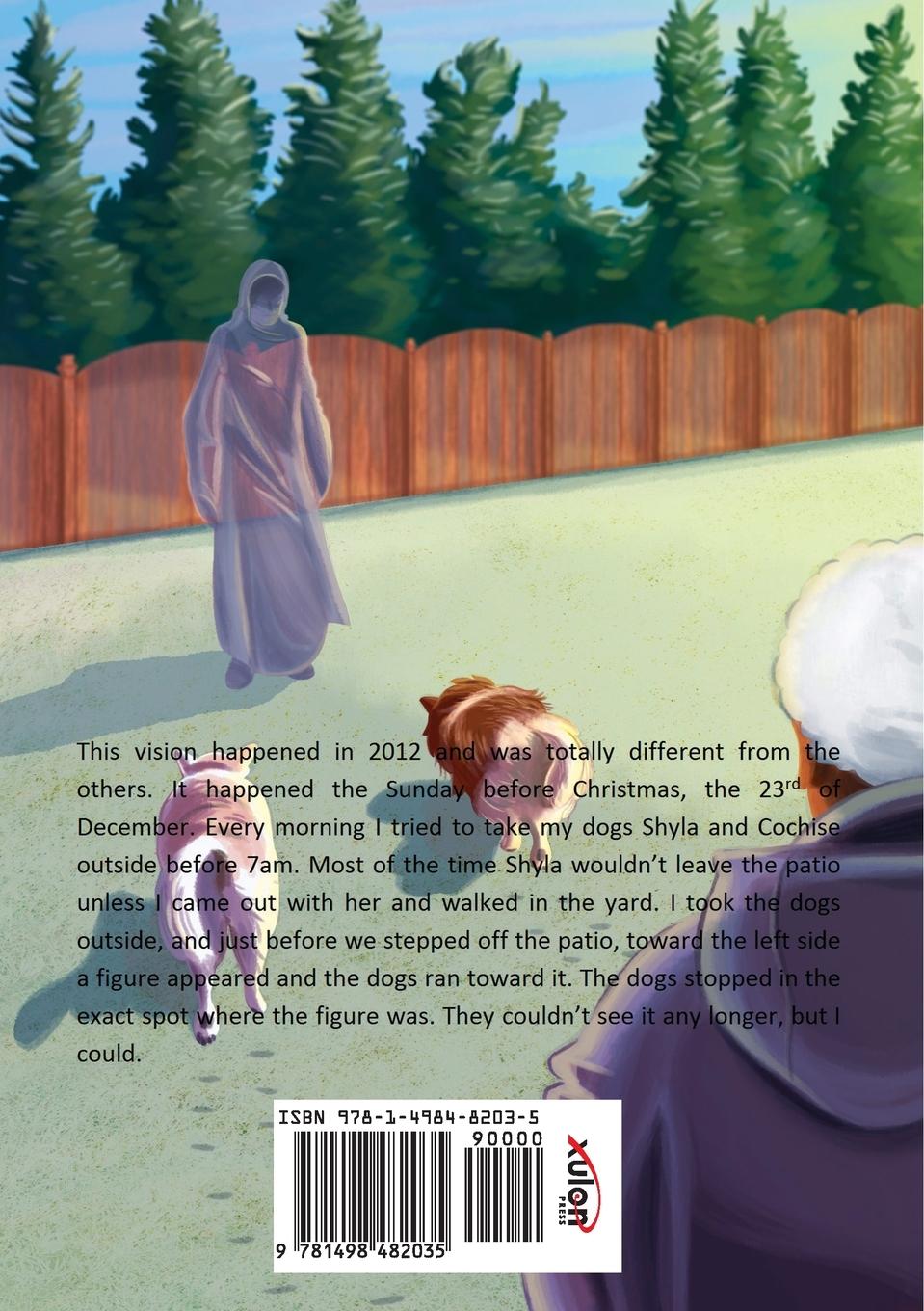 Rückseitencover My Life, God's Grace and My Visions