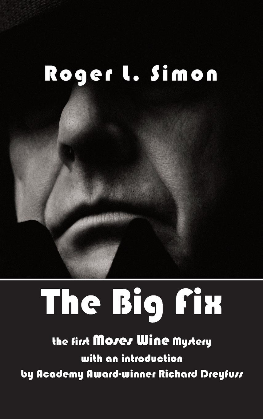 Vorderes Coverbild The Big Fix