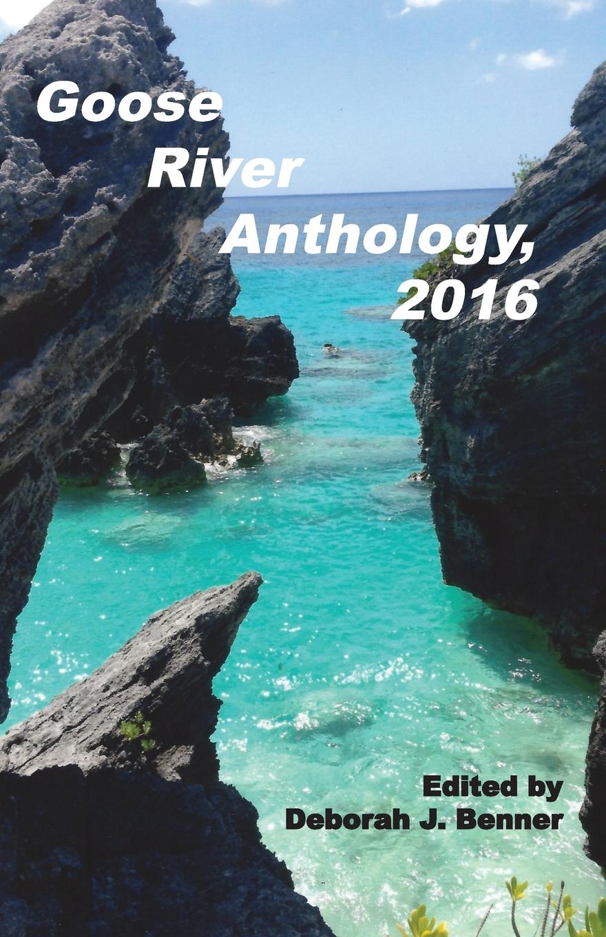 Vorderes Coverbild Goose River Anthology, 2016