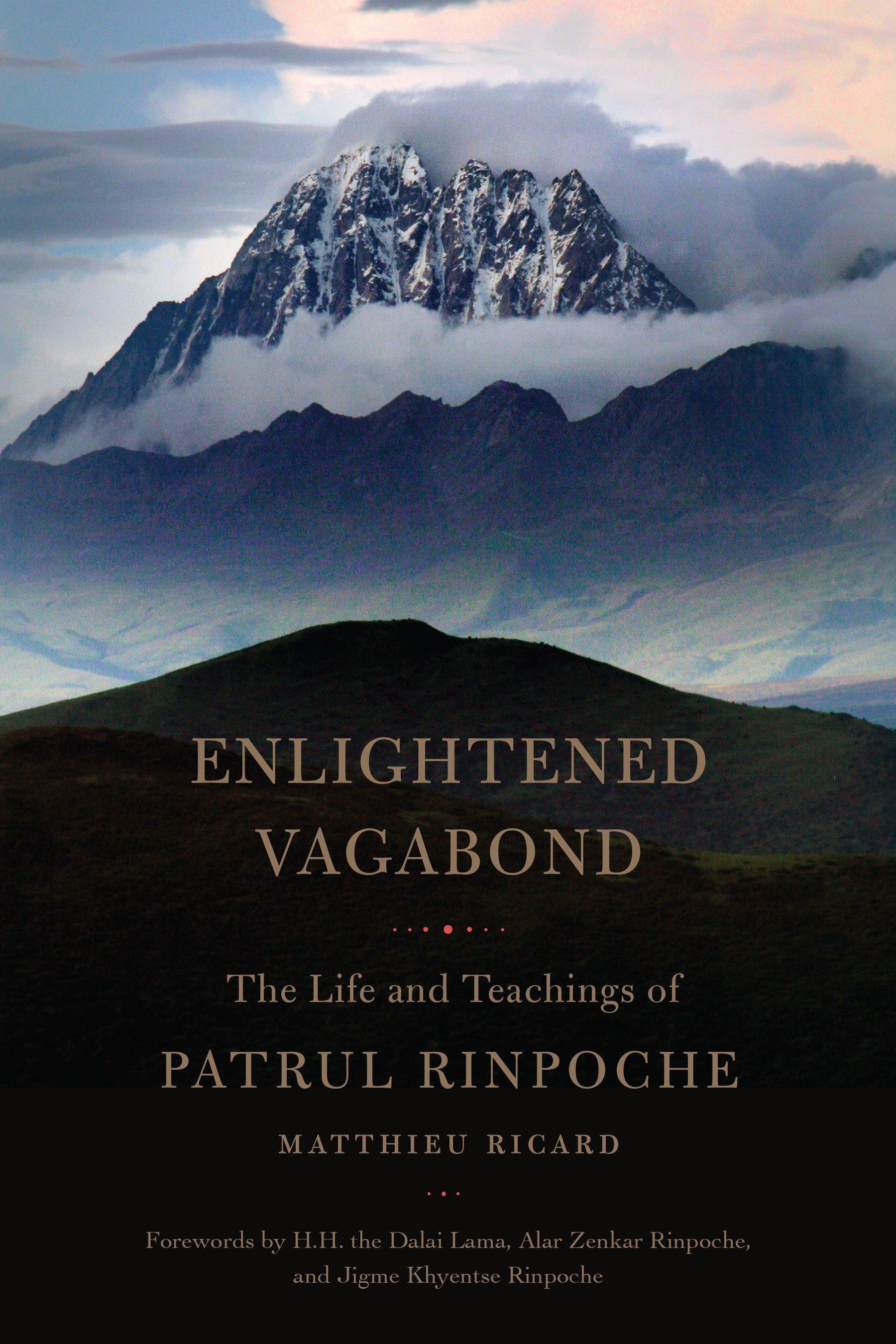 Vorderes Coverbild Enlightened Vagabond