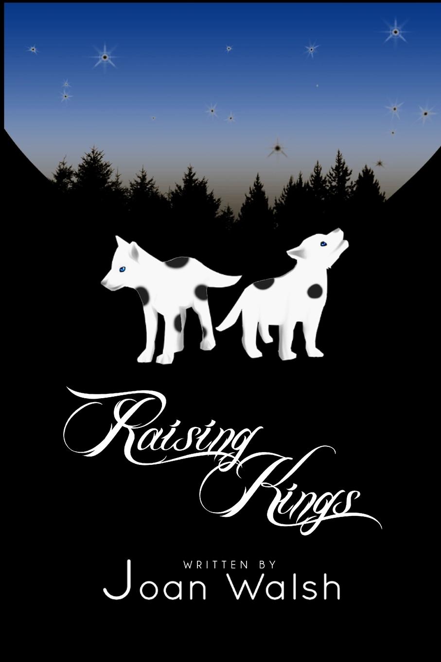 Vorderes Coverbild Raising Kings