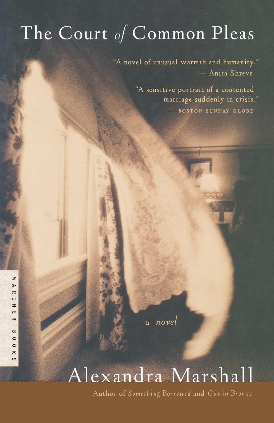 Vorderes Coverbild The Court of Common Pleas