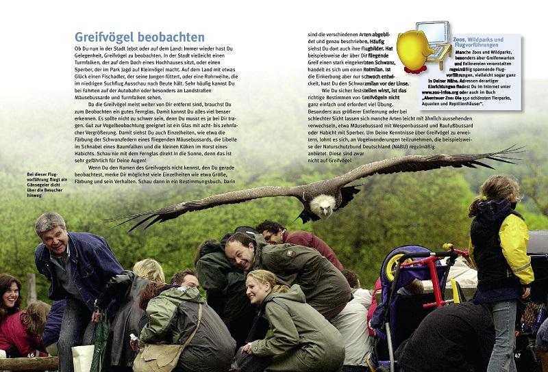 Beispielinhalt (Bild) Entdecke die Greifvögel