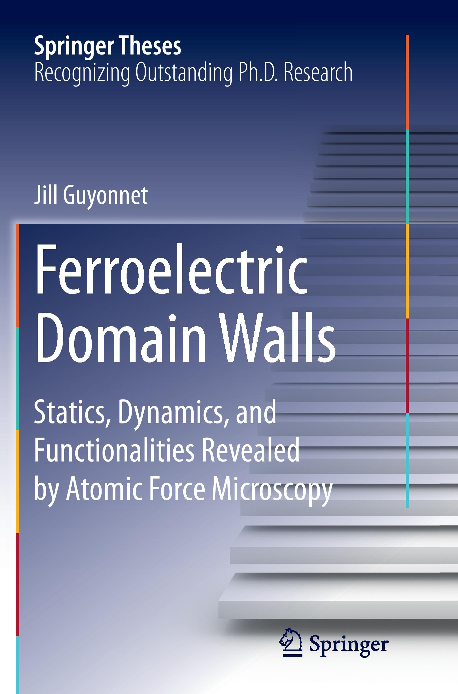 Vorderes Coverbild Ferroelectric Domain Walls