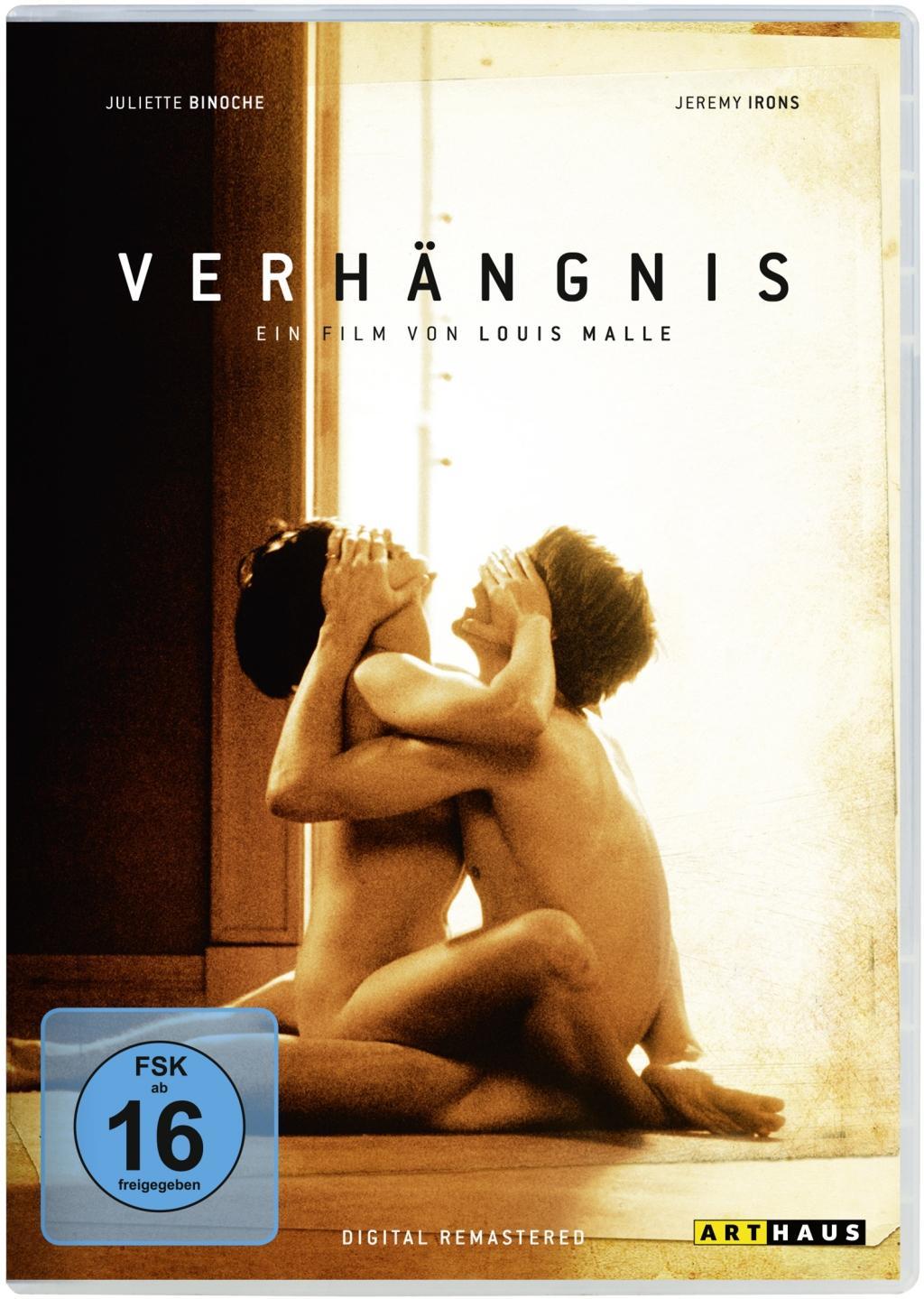 Vorderes Coverbild Verhängnis