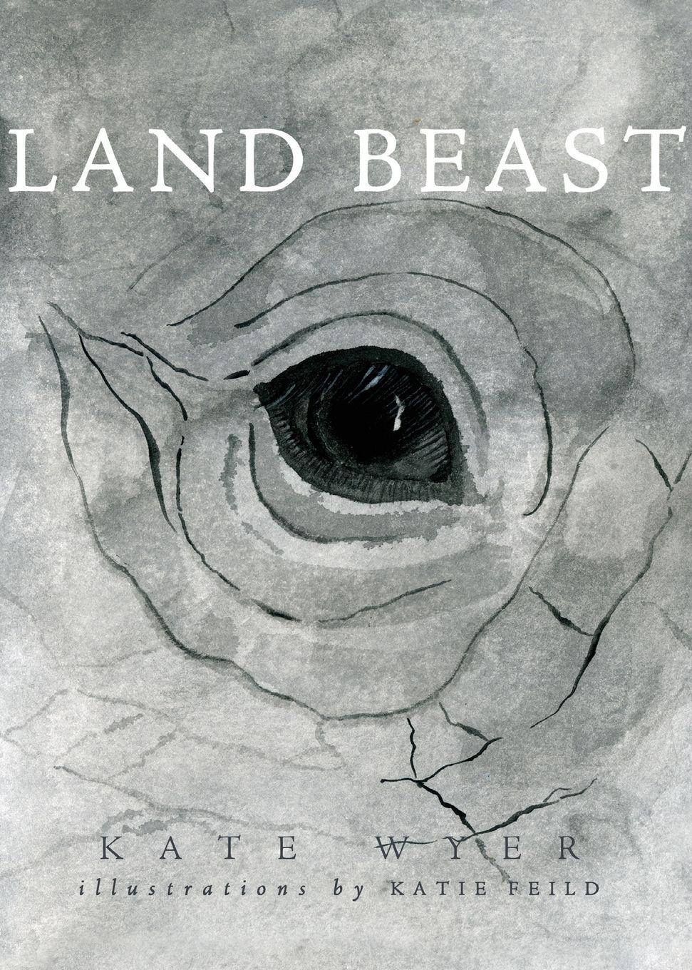 Vorderes Coverbild Land Beast