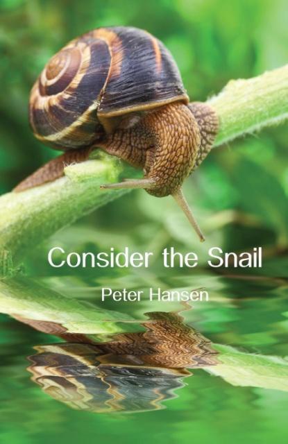 Vorderes Coverbild Consider the Snail