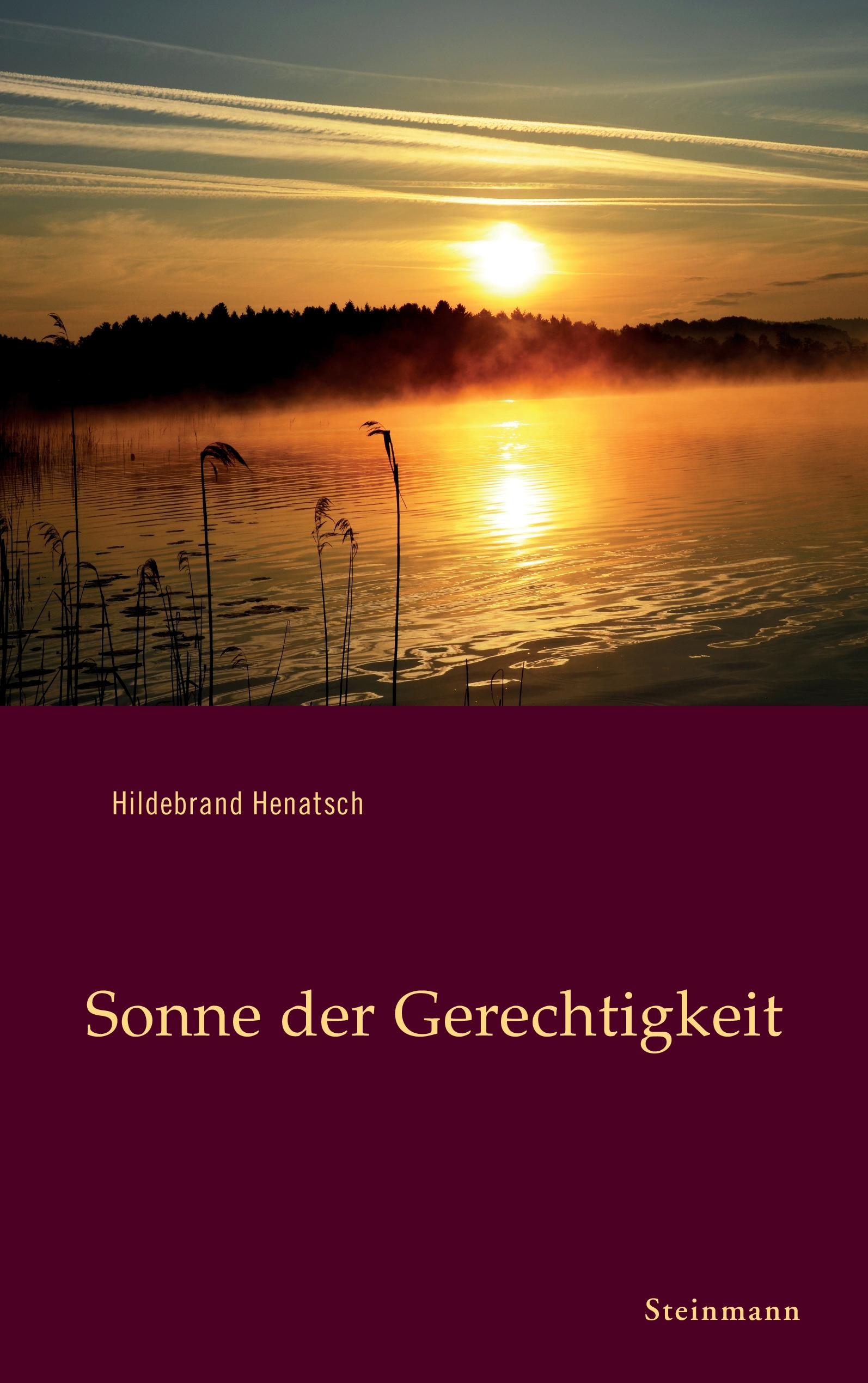 Vorderes Coverbild Dark Little Dreams