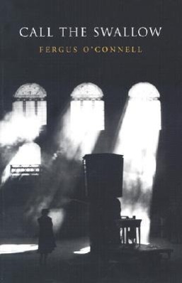 Vorderes Coverbild Call the Swallow