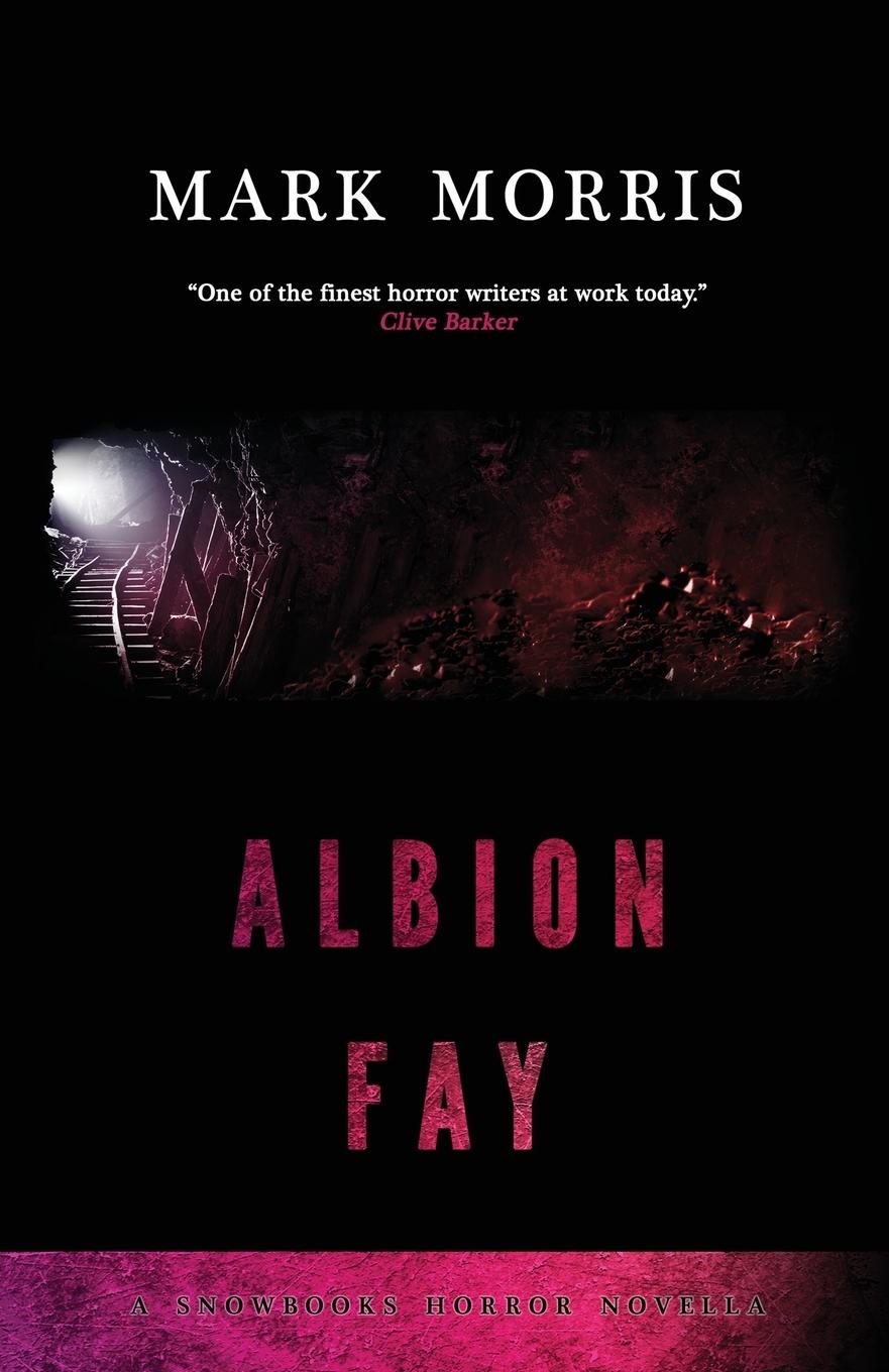 Vorderes Coverbild Albion Fay