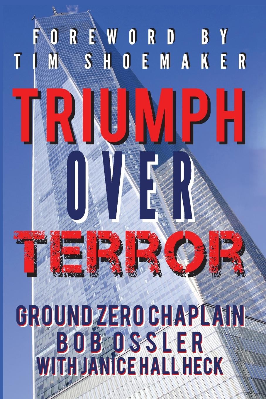 Vorderes Coverbild Triumph Over Terror