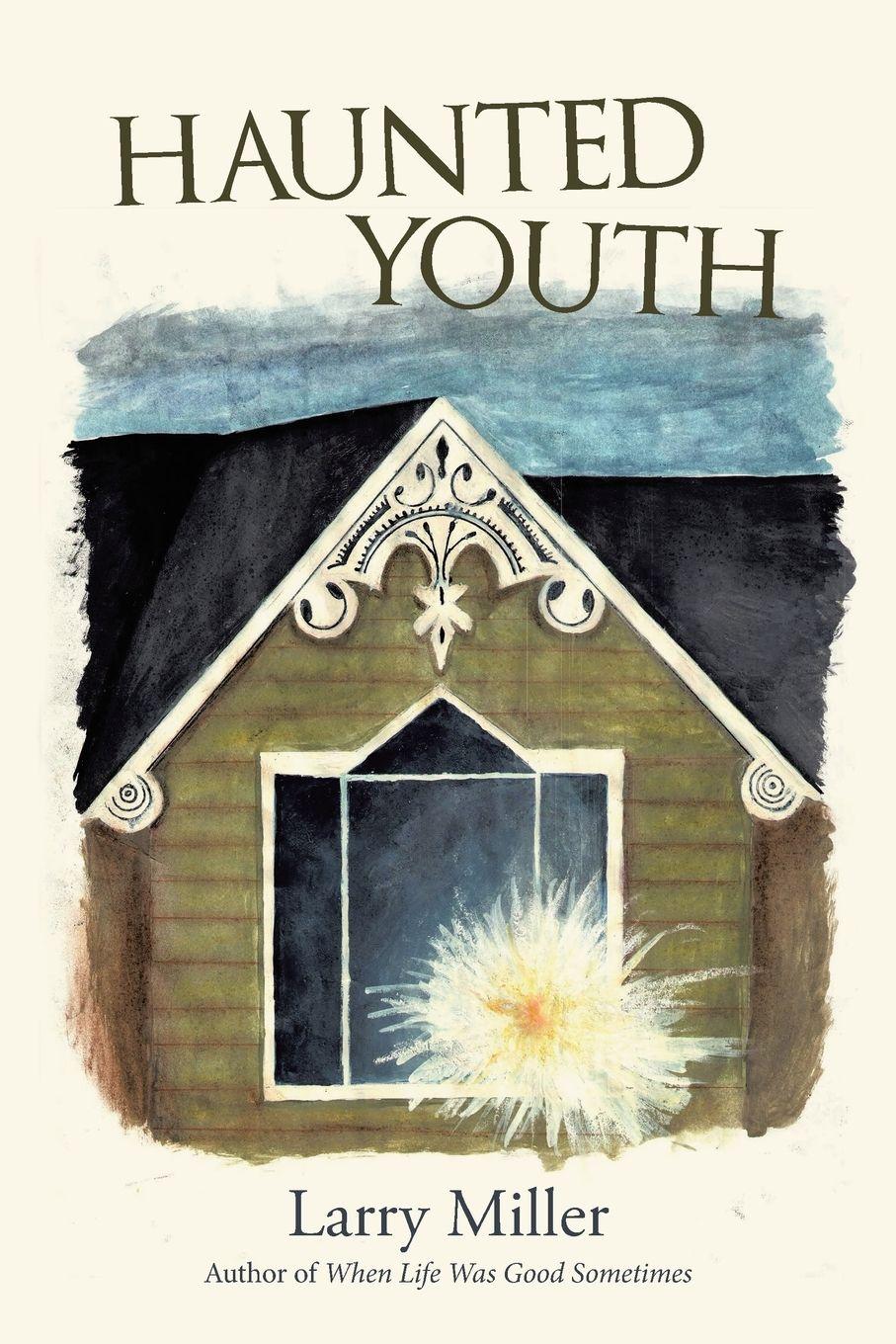 Vorderes Coverbild Haunted Youth