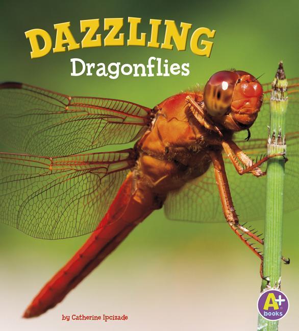 Vorderes Coverbild Dazzling Dragonflies
