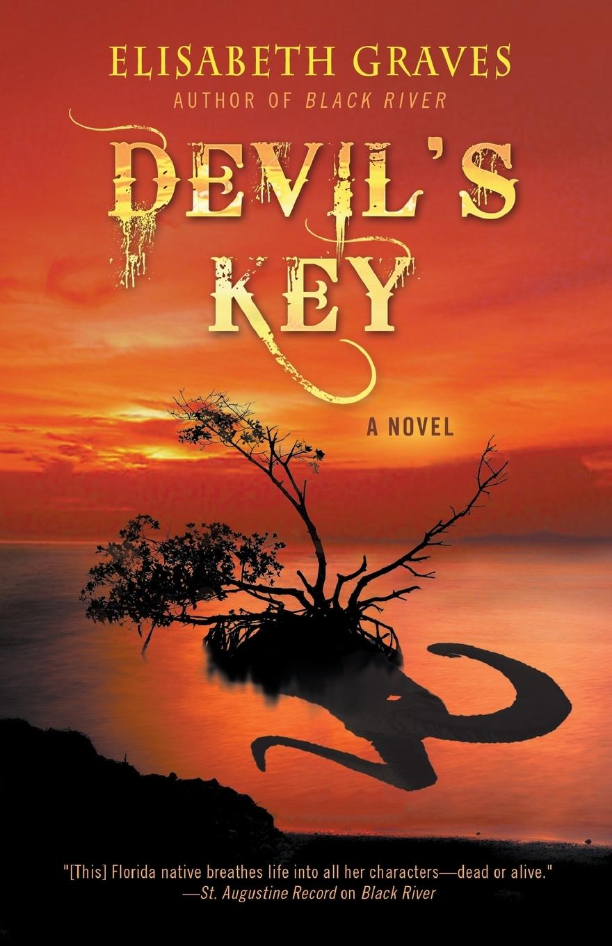 Vorderes Coverbild Devil's Key