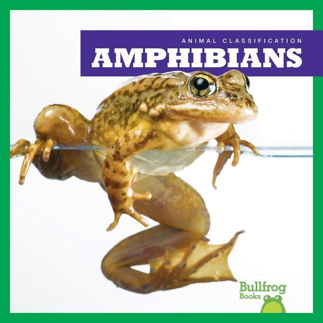 Vorderes Coverbild Amphibians
