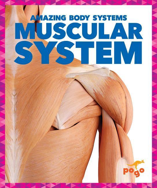 Vorderes Coverbild Muscular System