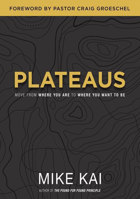 Vorderes Coverbild Plateaus: Move from Where You Are to Where You Want to Be