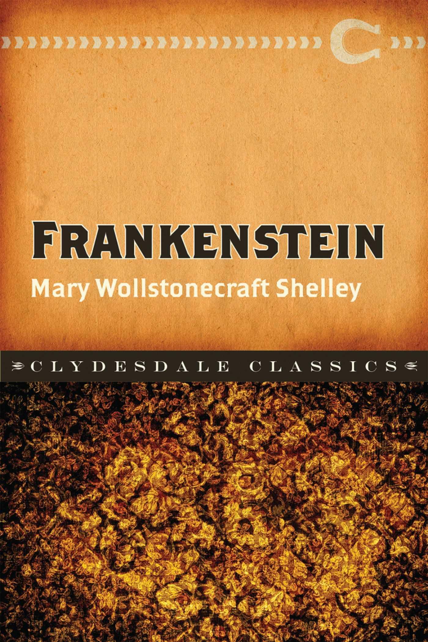 Vorderes Coverbild Frankenstein