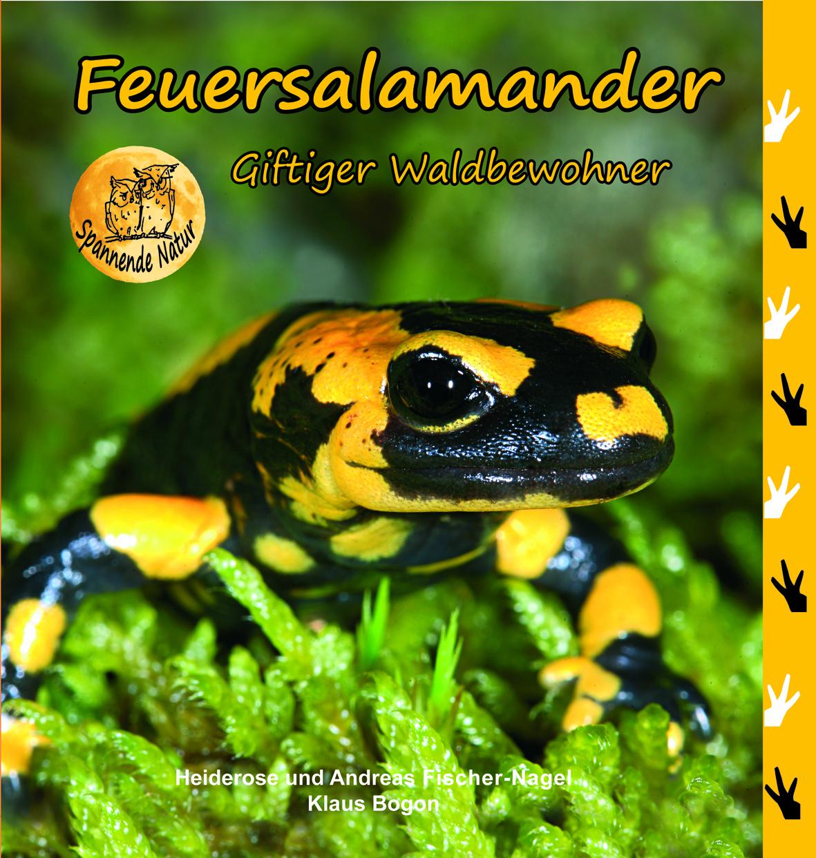 Vorderes Coverbild Feuersalamander