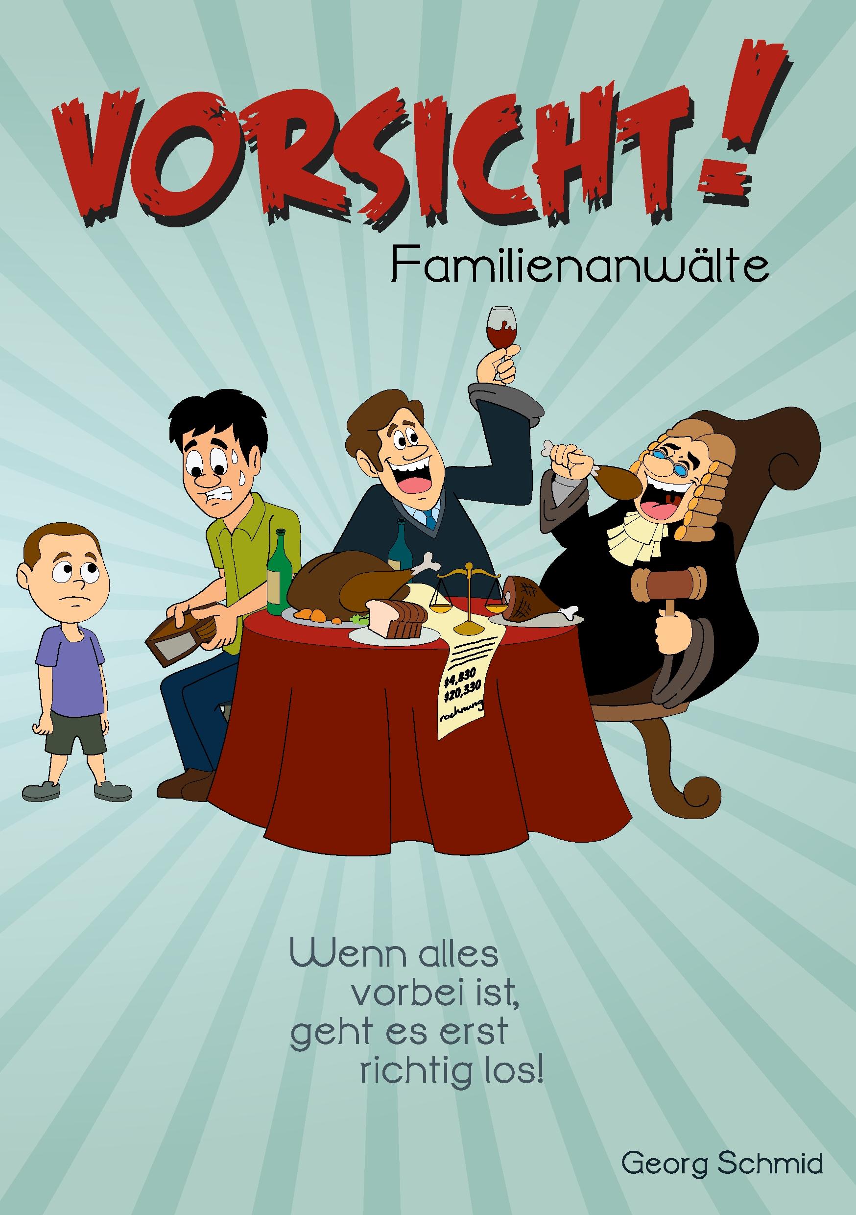 Vorderes Coverbild Vorsicht! Familienanwälte