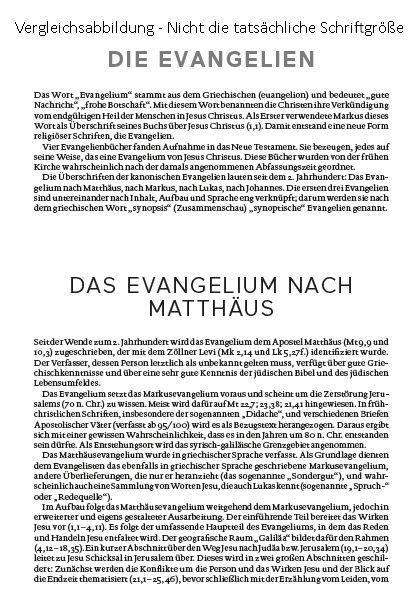 Beispielinhalt (Bild) Die Bibel (Schulausgabe, schwarz)