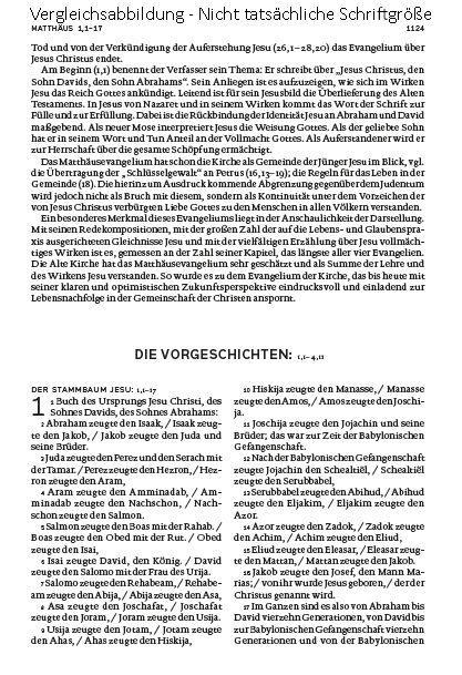 Beispielinhalt (Bild) Die Bibel (Schulausgabe, schwarz)