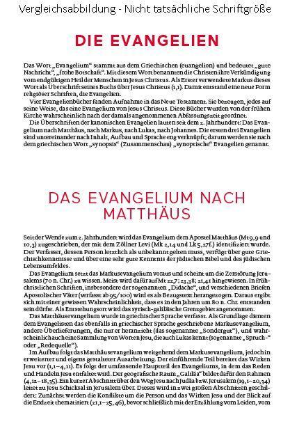 Beispielinhalt (Bild) Die Bibel. Mit Sonderseiten für junge Menschen.