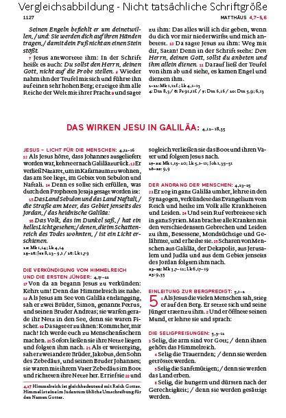 Beispielinhalt (Bild) Die Bibel. Mit Sonderseiten für junge Menschen.