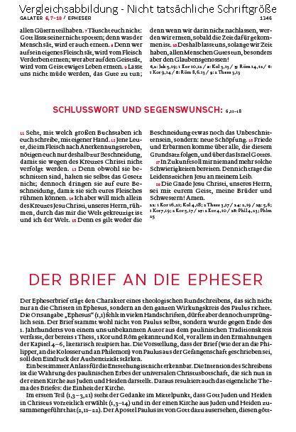 Beispielinhalt (Bild) Die Bibel. Mit Sonderseiten für junge Menschen.