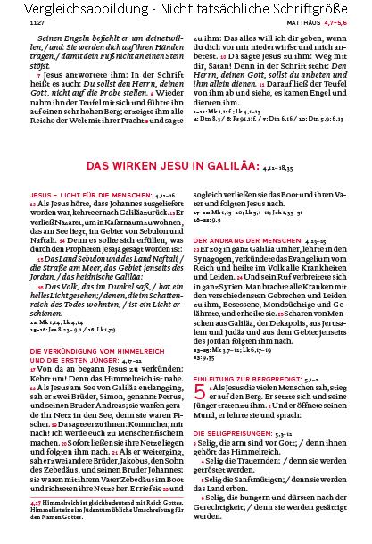Beispielinhalt (Bild) Die Bibel. Mit Sonderseiten für junge Menschen.