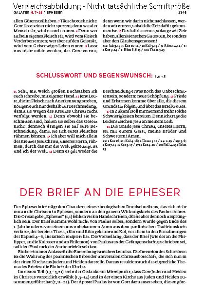 Beispielinhalt (Bild) Die Bibel. Mit Sonderseiten für junge Menschen.