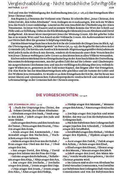 Beispielinhalt (Bild) Die Bibel. Mit Sonderseiten für junge Menschen.