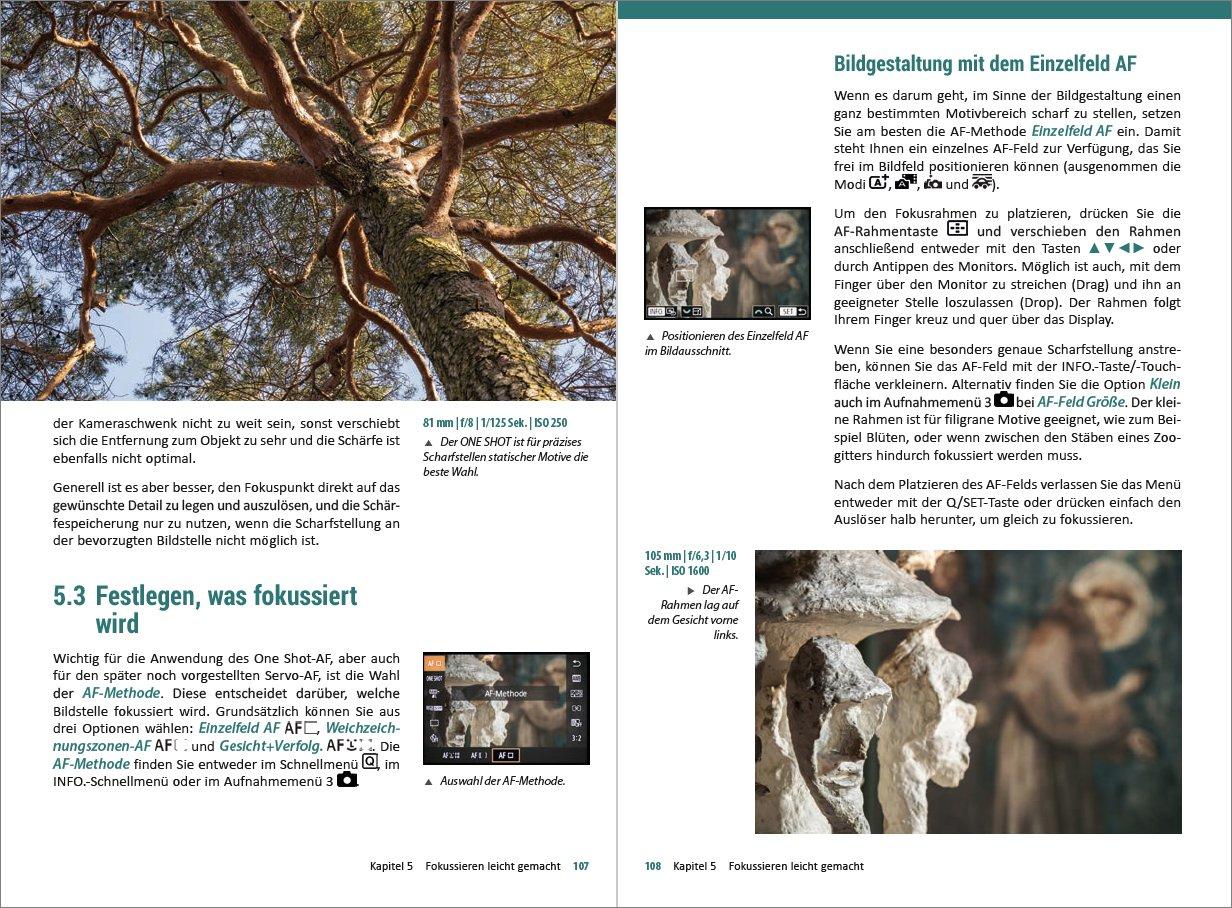 Beispielinhalt (Bild) Canon EOS M5 - Für bessere Fotos von Anfang an