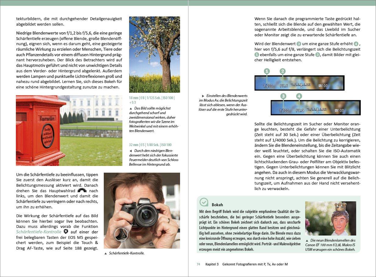 Beispielinhalt (Bild) Canon EOS M5 - Für bessere Fotos von Anfang an