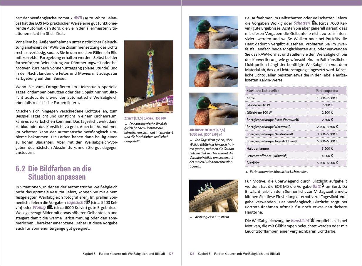 Beispielinhalt (Bild) Canon EOS M5 - Für bessere Fotos von Anfang an