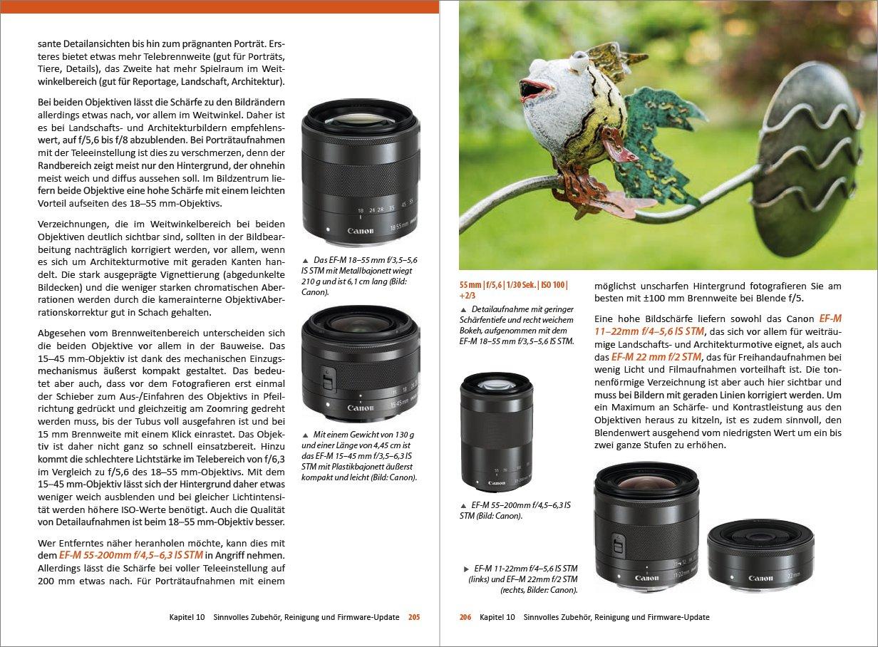 Beispielinhalt (Bild) Canon EOS M5 - Für bessere Fotos von Anfang an