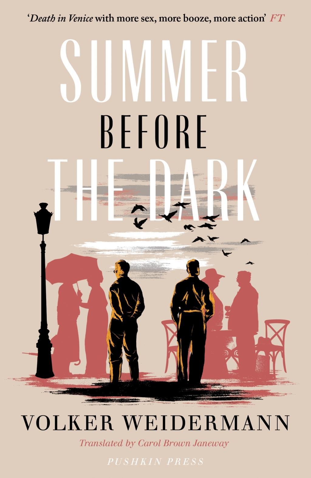 Vorderes Coverbild Summer Before the Dark