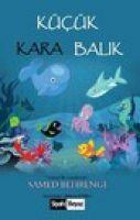 Vorderes Coverbild Kücük Kara Balik