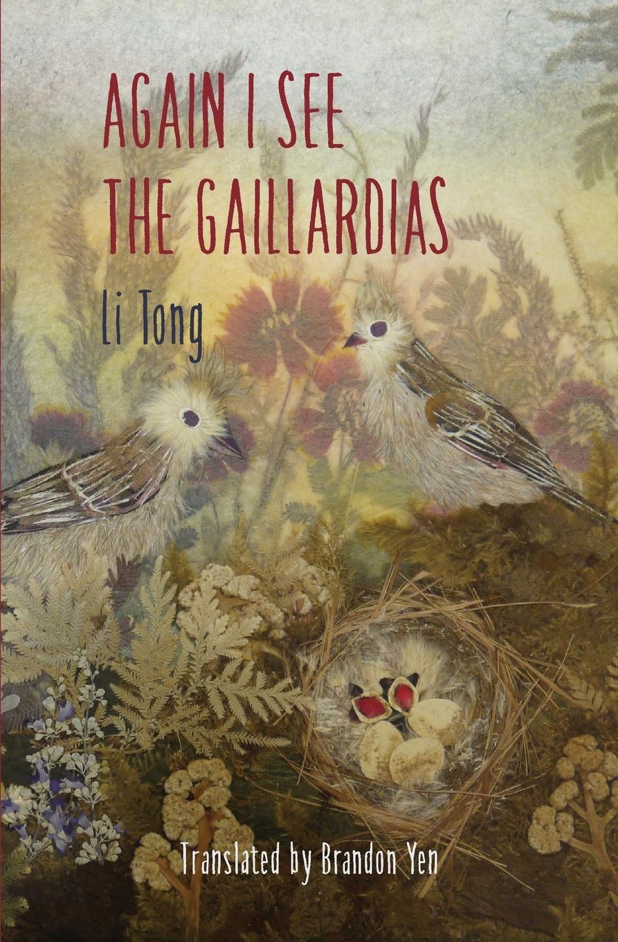 Vorderes Coverbild Again I See the Gaillardias