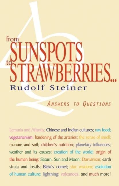Vorderes Coverbild From Sunspots to Strawberries . . .