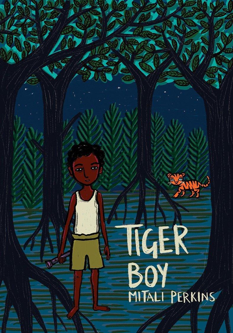 Vorderes Coverbild Tiger Boy