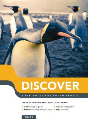 Vorderes Coverbild Discover: Book 6