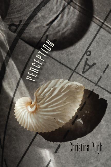 Vorderes Coverbild Perception