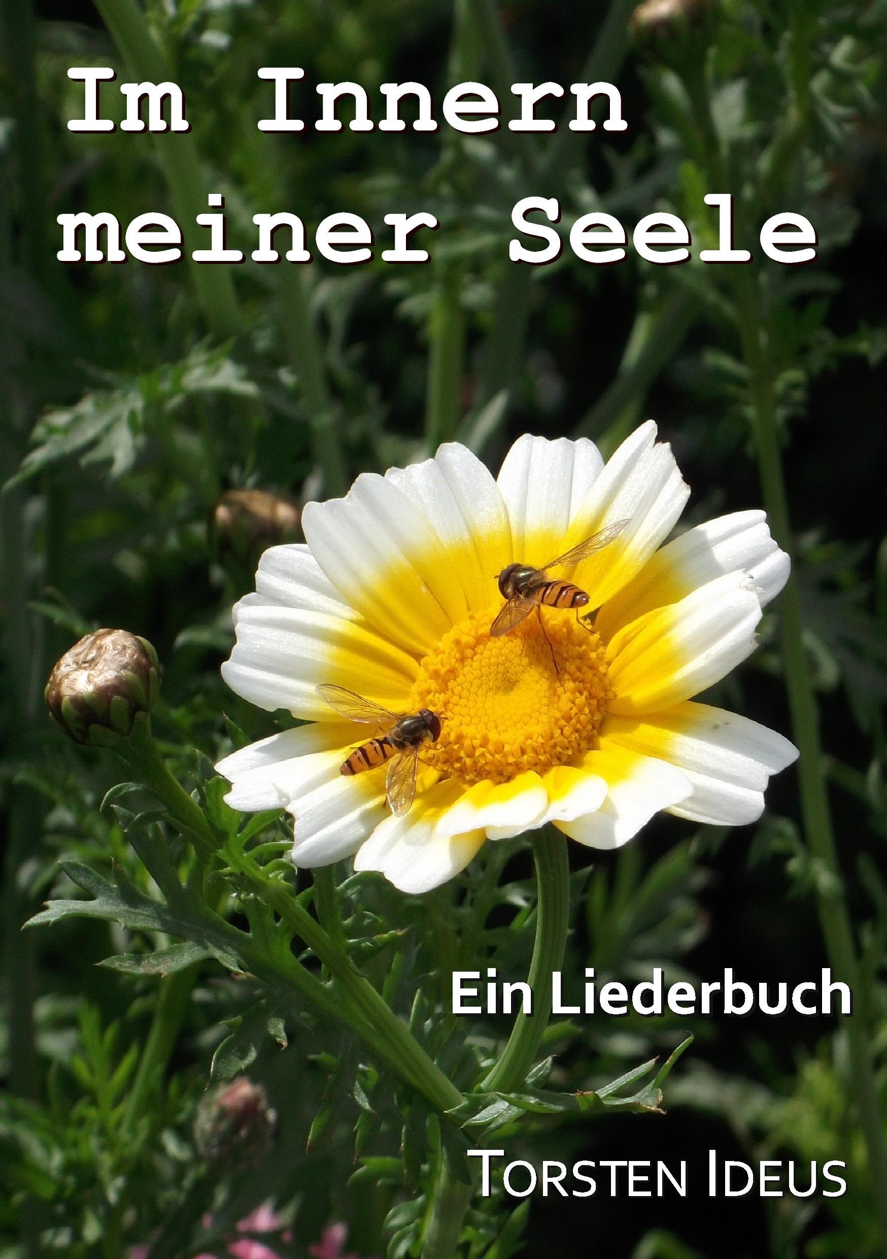 Vorderes Coverbild Im Innern meiner Seele